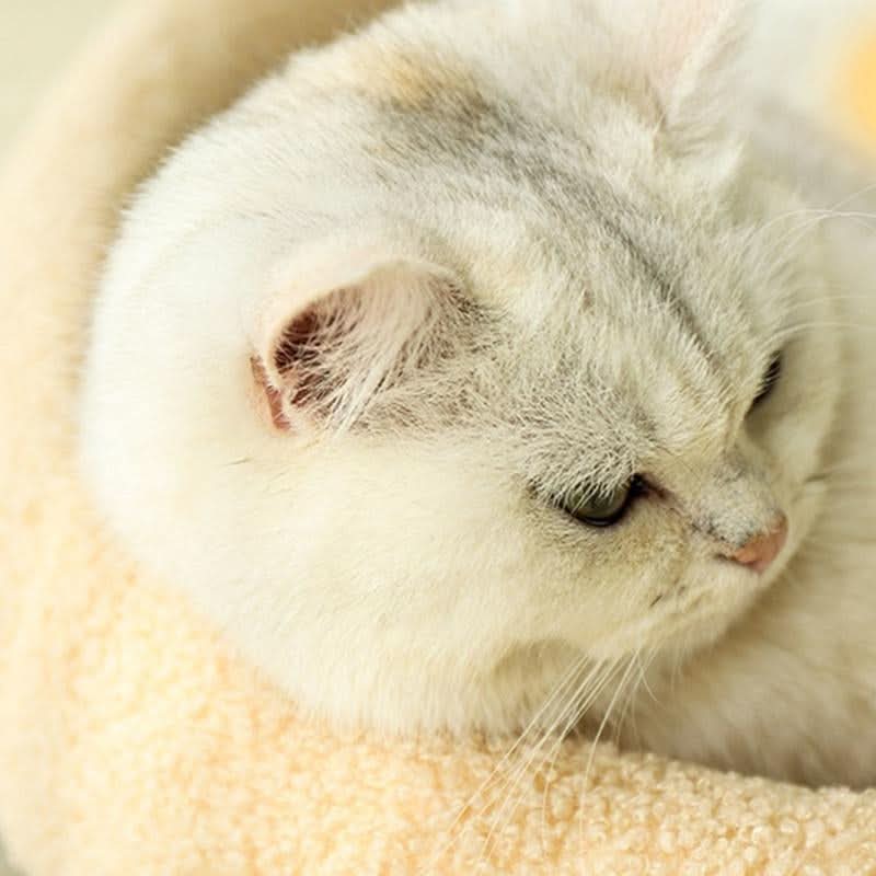 Cat Cave Bed with Sisal Scratching Surface, Cosy Cat Bed with Washable Cushion, Cat Scratcher Bed_11