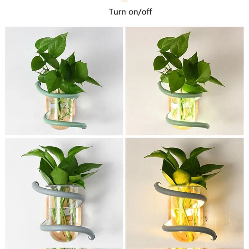 Wall Lights, Living Room Wall Light with Wooden Base and Glass Vase, LED Wall Sconce for Flowers_04