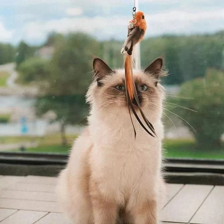 Interactive Cat Toys for Indoor Cats, Automatic Cat Toy with Fluttering Wings and Feathers, Moving Cat Toy_00