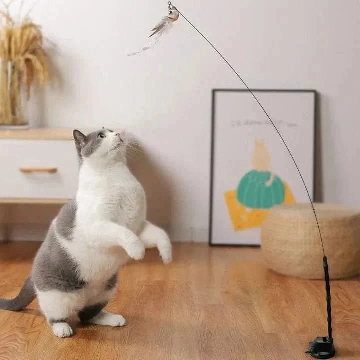 Interactive Cat Toys for Indoor Cats, Automatic Cat Toy with Fluttering Wings and Feathers, Moving Cat Toy_02