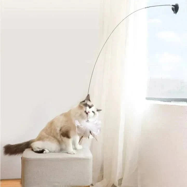 Interactive Cat Toys for Indoor Cats, Automatic Cat Toy with Fluttering Wings and Feathers, Moving Cat Toy_03