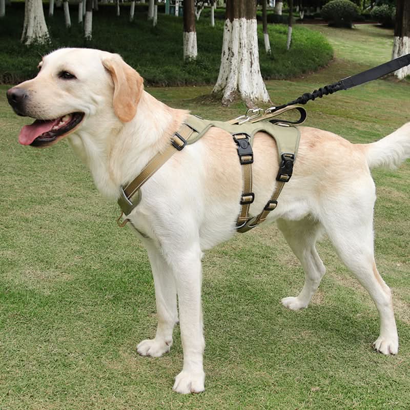 No Pull Dog Harness, Escape Proof Harness for Dogs, Reflective Front Clip Dog Harness with Padding in S to XL