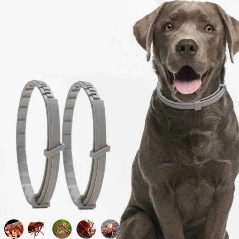 Cat Flea Collar with Essential Oils, Flea and Tick Collar for Dogs