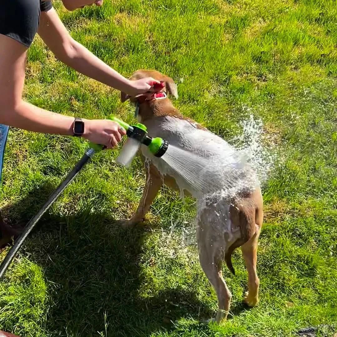 Pet Bath Sprayer, Dog Shower with 360 Spray Head and 3 Foam Levels, Dog Wash Sprayer for Bathing Dogs, Dog Bath_01