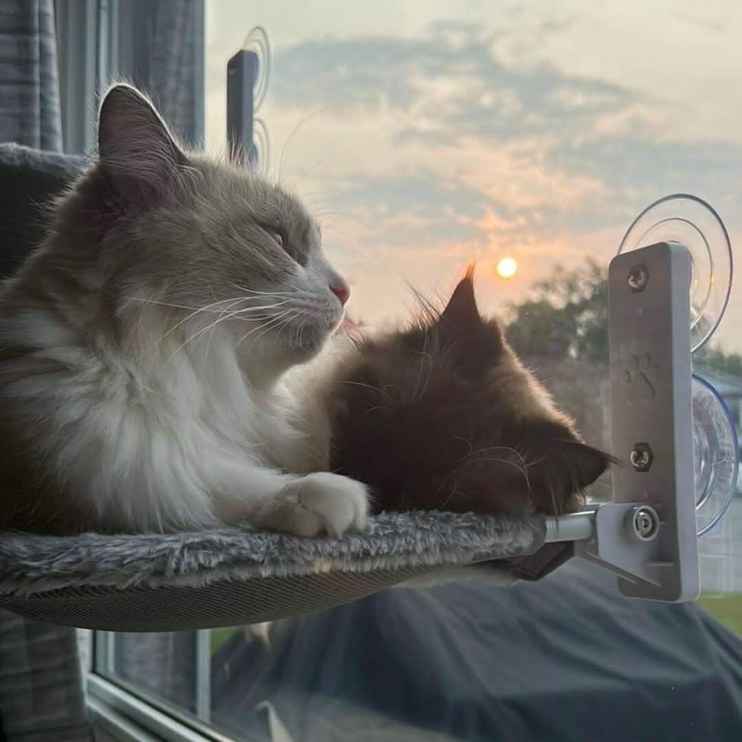 Foldable Cat Hammock for Windows, Cat Window Bed, Wall Mounted Cat Bed with Suction Cups or Adhesive Pads_03
