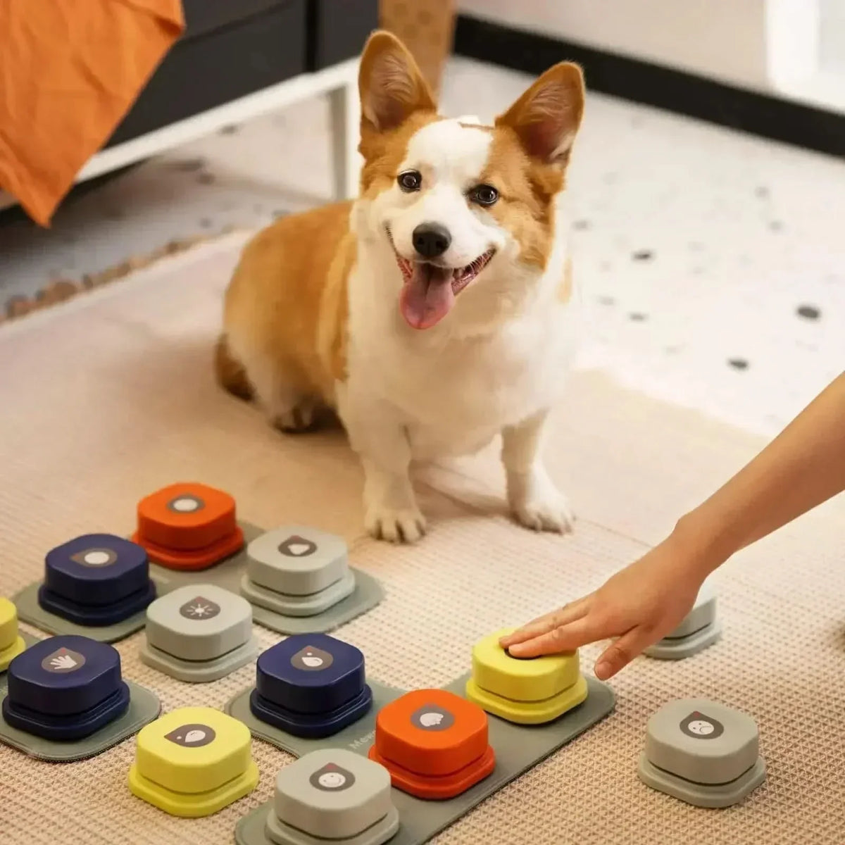 Dog Talking Buttons, Recordable Voice Buttons for Dog Communication, Dog Training Buttons for Words and Commands