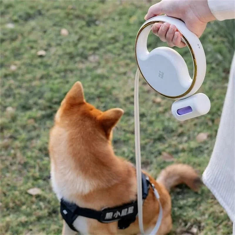 Retractable Dog Lead with LED Light and Poo Bag Holder, USB Rechargeable Extending Dog Lead 3 m for Dogs up to 30 kg