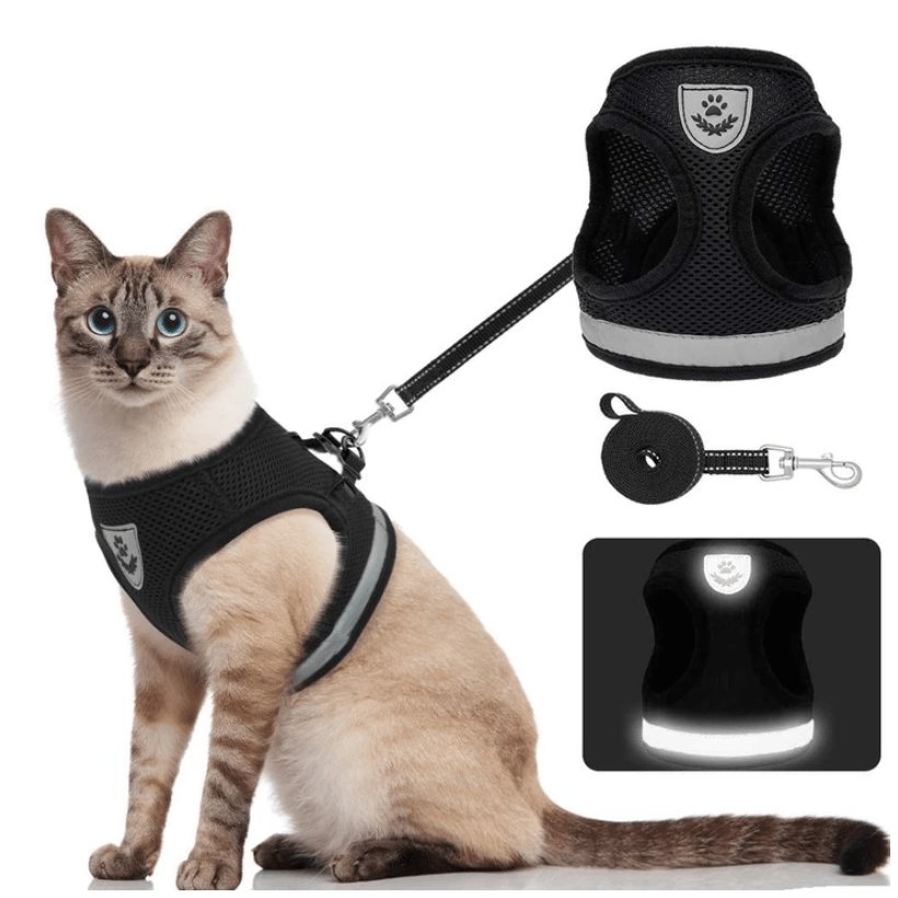 Escape Proof Cat Harness and Lead Set, Reflective Kitten Harness with 1.5 m Leash for Walking_10