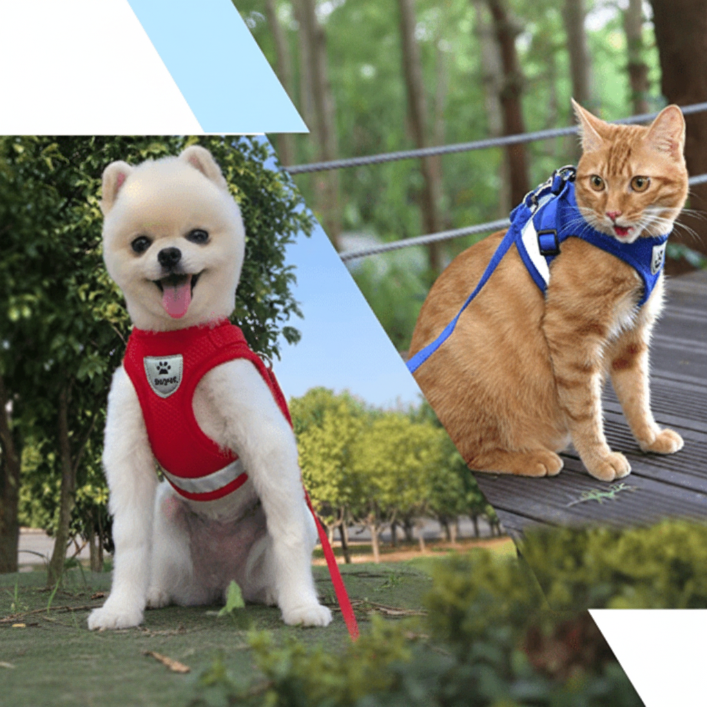 Escape Proof Cat Harness and Lead Set, Reflective Kitten Harness with 1.5 m Leash for Walking_06