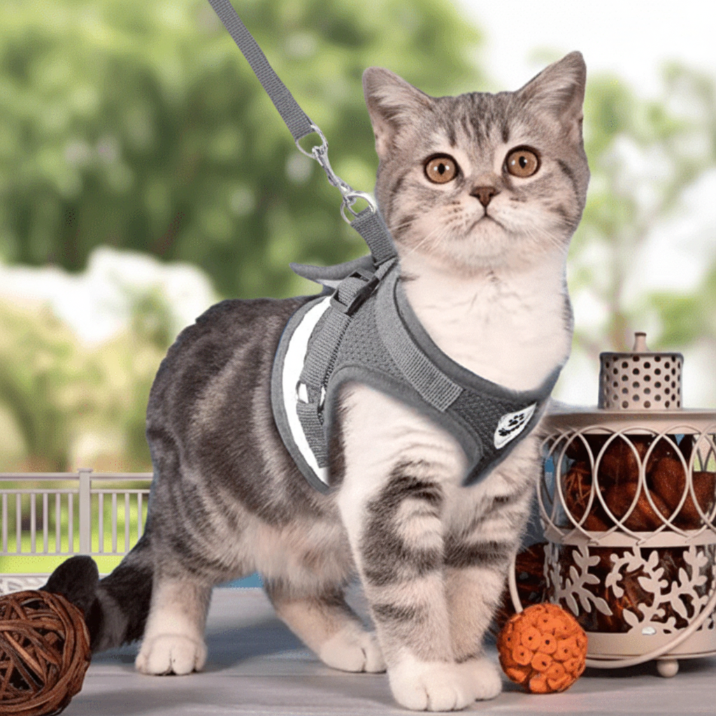 Escape Proof Cat Harness and Lead Set, Reflective Kitten Harness with 1.5 m Leash for Walking_12