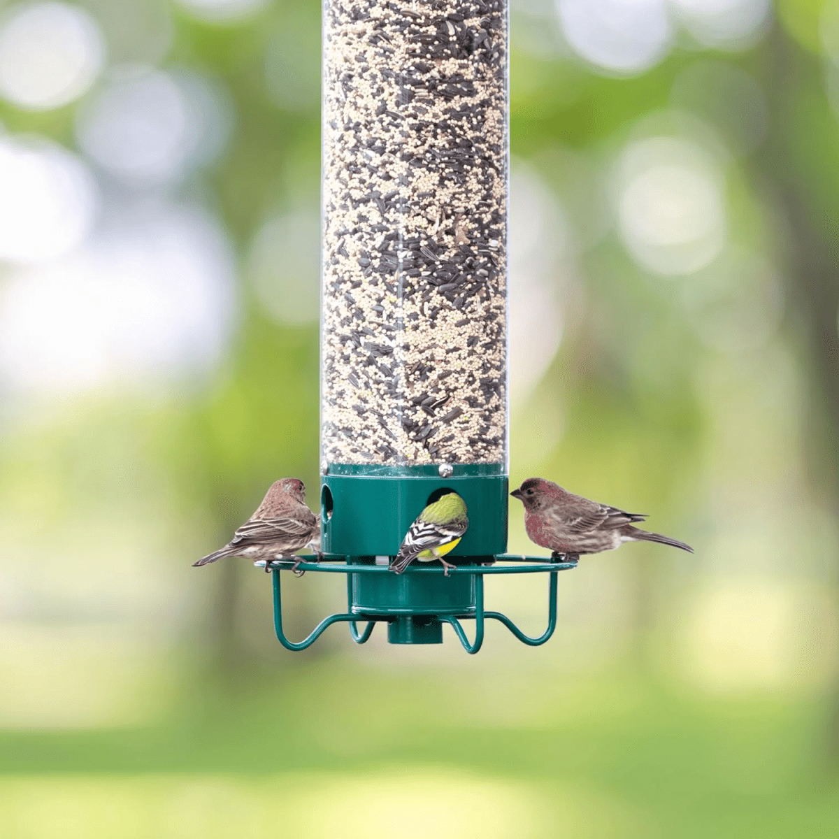 Bird Feeders, Garden Bird Feeder for Wild Birds