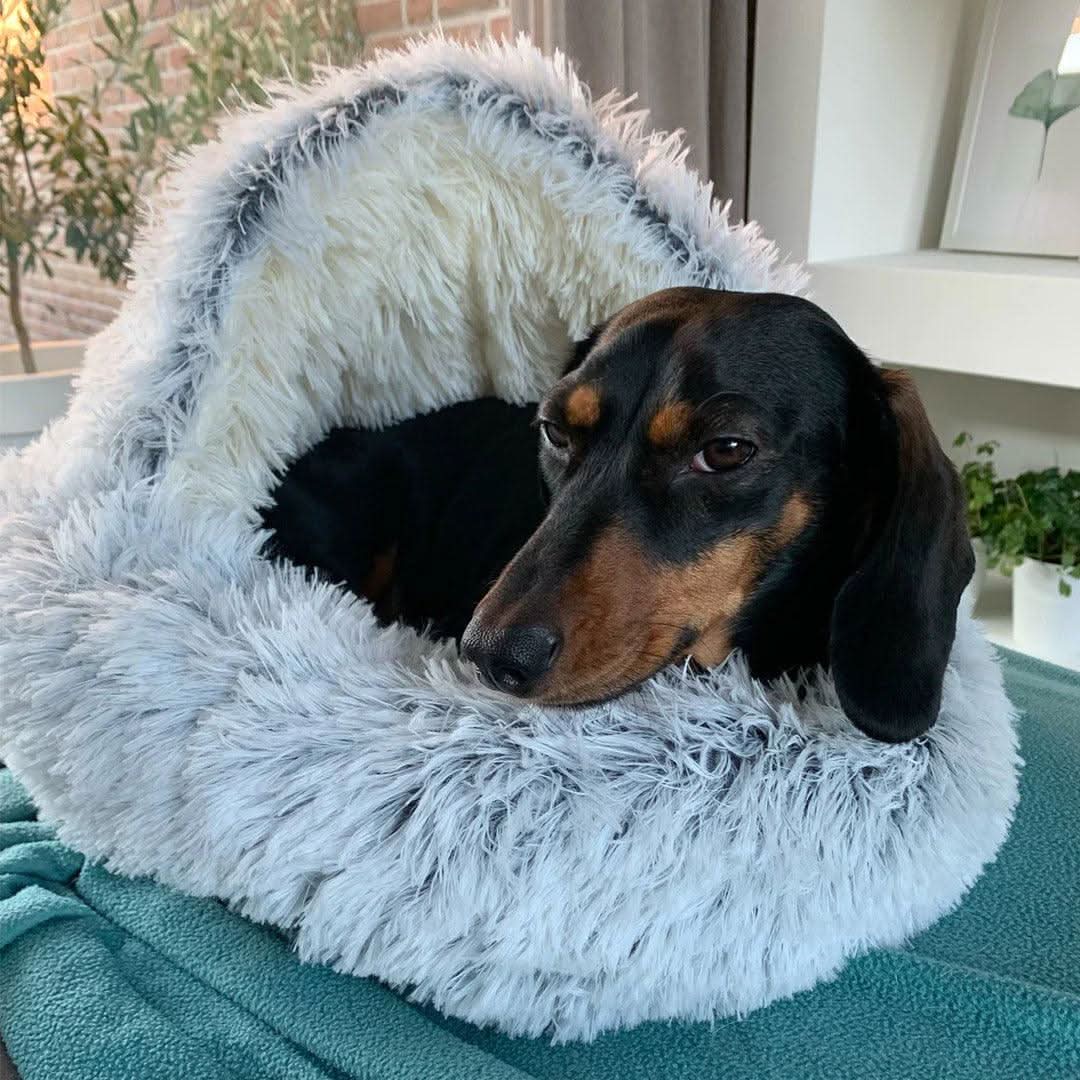 Dog Beds for Small and Medium Dogs, Cat Bed with Padded Raised Sides, Small Dog Bed 40 cm or 50 cm_01