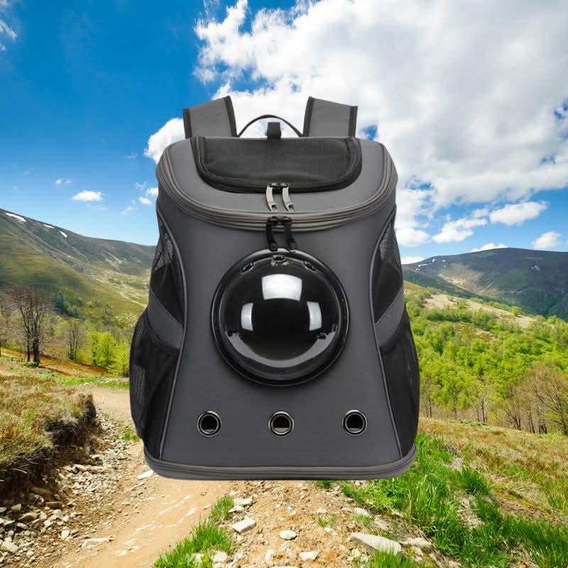 Cat Carrier Bag, Foldable Pet Carrier with Panoramic Window, Dog Carrier Bag for Small Dogs up to 9 kg_05