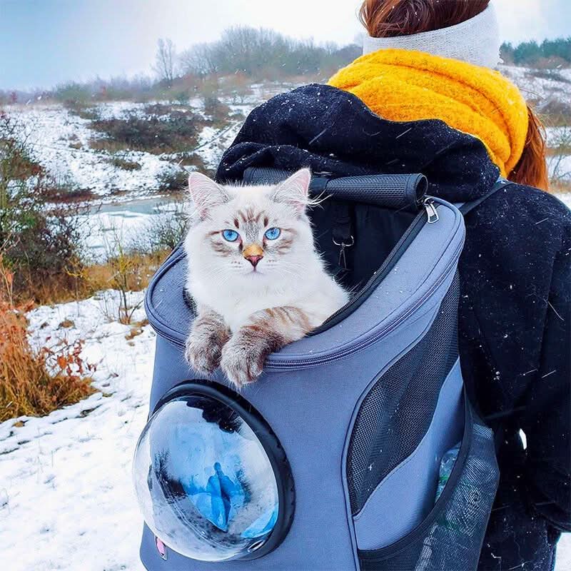 Cat Carrier Bag, Foldable Pet Carrier with Panoramic Window, Dog Carrier Bag for Small Dogs up to 9 kg_00