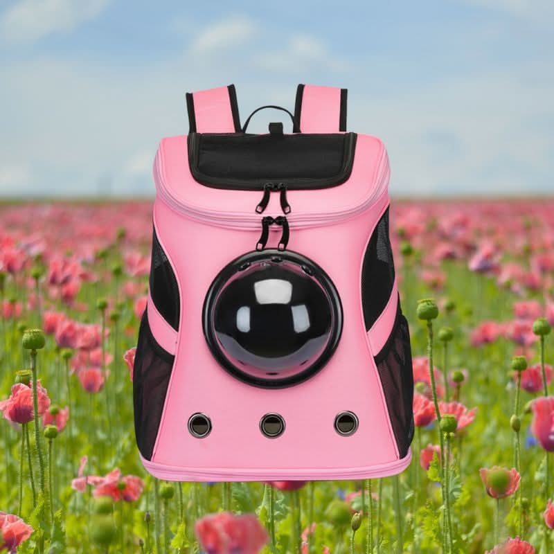 Cat Carrier Bag, Foldable Pet Carrier with Panoramic Window, Dog Carrier Bag for Small Dogs up to 9 kg_04