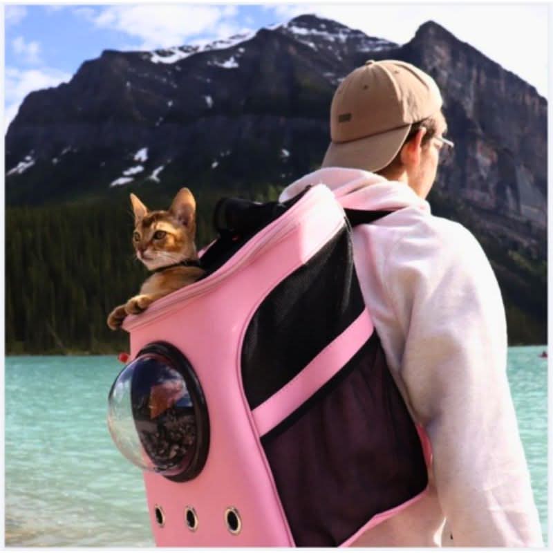 Cat Carrier Bag, Foldable Pet Carrier with Panoramic Window, Dog Carrier Bag for Small Dogs up to 9 kg_02