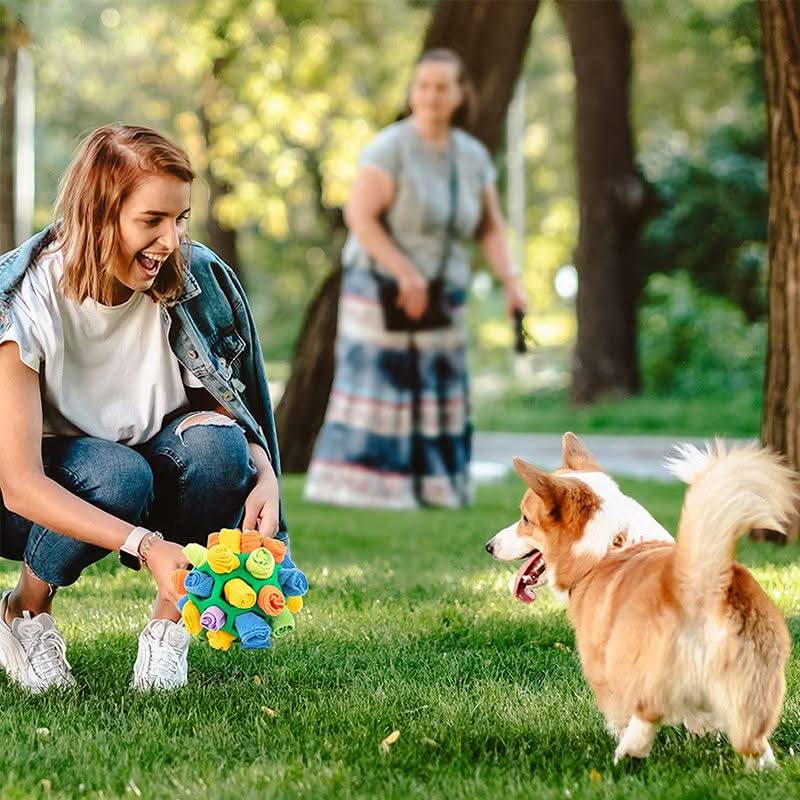 Snuffle Mat for Dogs and Cats, Interactive Dog Toys for Mental Stimulation, Dog Puzzle Toy for Treats, Rabbit Toy