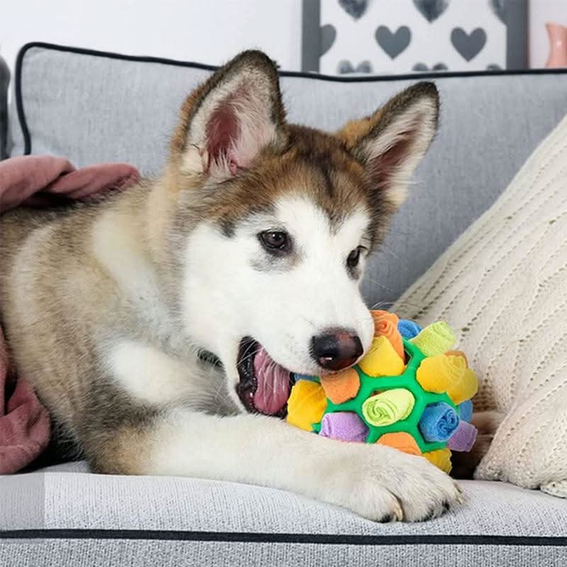 Snuffle Mat for Dogs and Cats, Interactive Dog Toys for Mental Stimulation, Dog Puzzle Toy for Treats, Rabbit Toy_03
