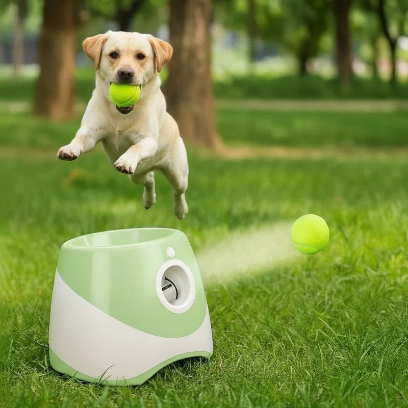 Dog Ball Launcher, Automatic Ball Thrower for Dogs, Interactive Dog Toy, Rechargeable Tennis Ball Launcher for Dogs_03